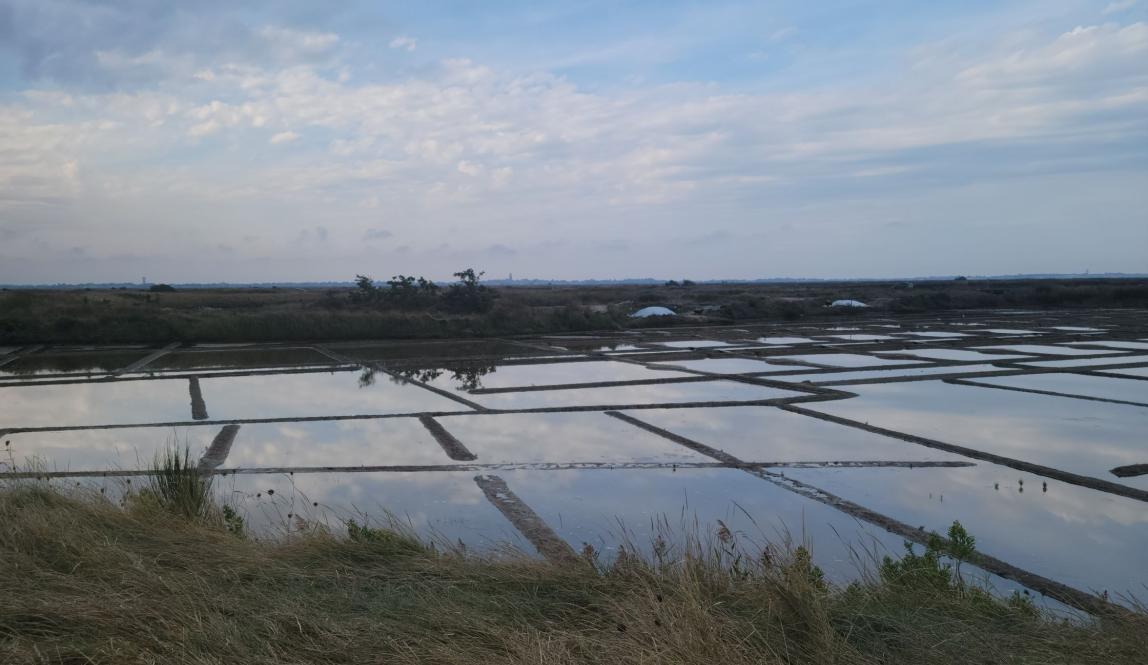 Salt farm in Guerande showing different rectangular sections of water which are part of the salt farming process. 