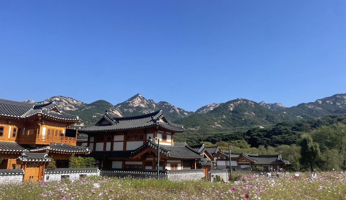 Image of a field of flowers, traditional Korean buildings, and mountain landscape 