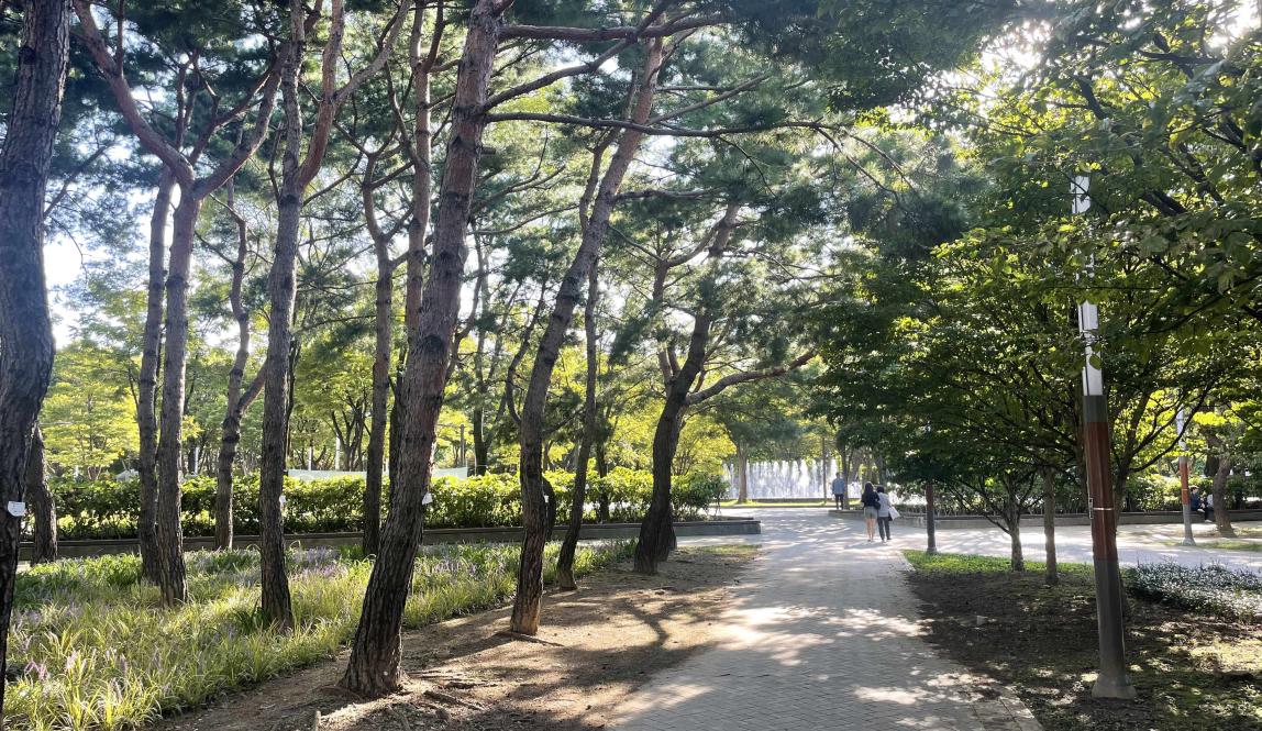 Image of trees and walkways at park 