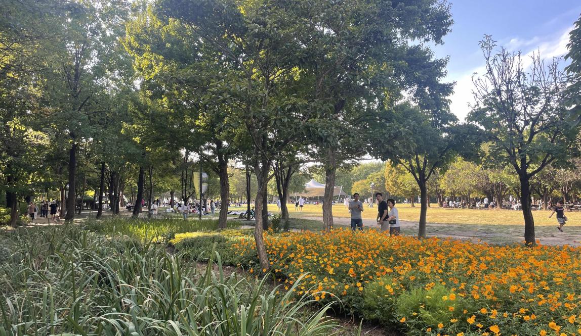 Image of plants, trees, and orange flowers at a park 