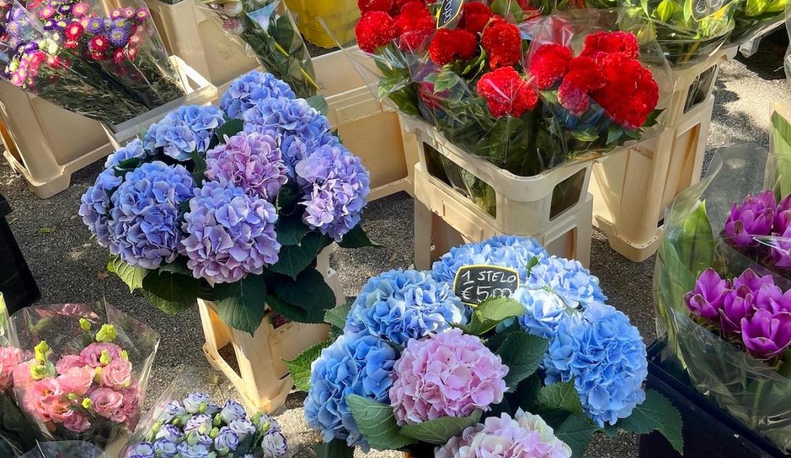 Flowers at the Market