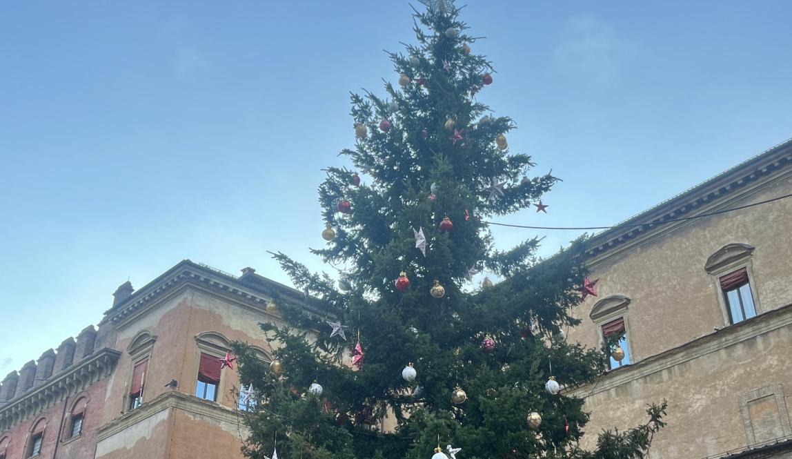 Photo of a Christmas Tree in Bologna 