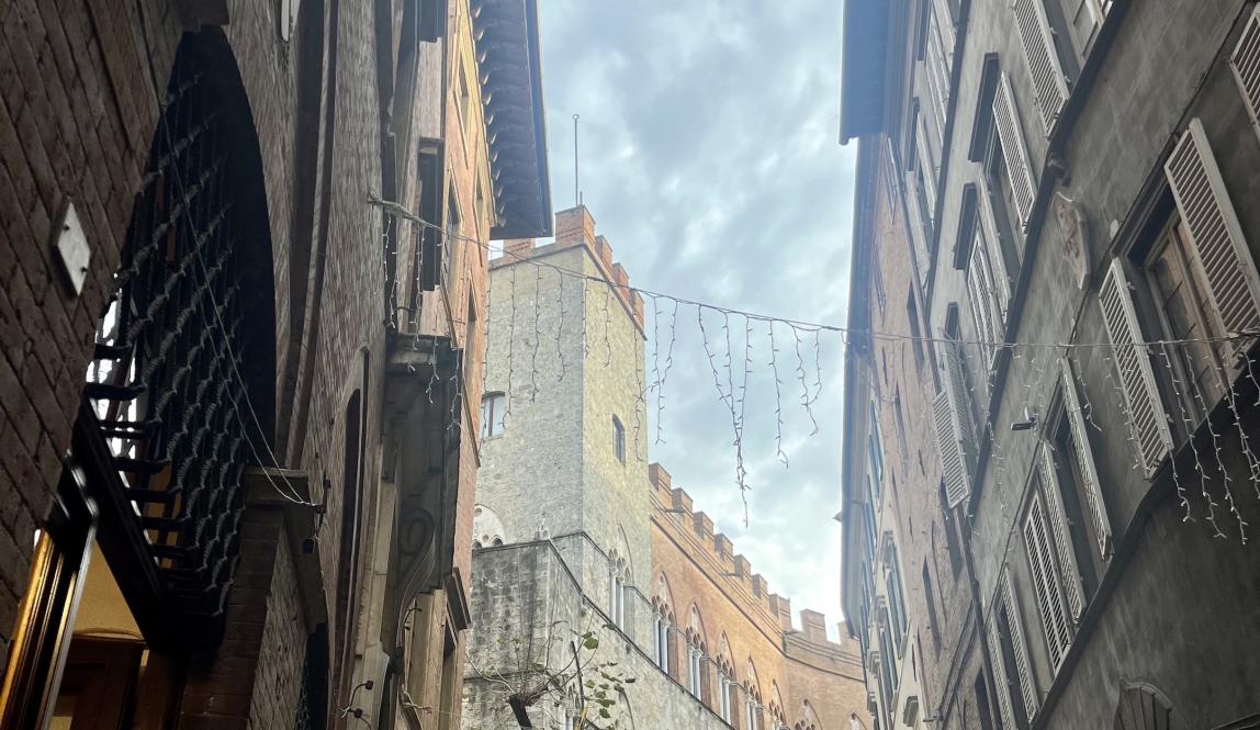 The contrada flags in the streets of Siena 
