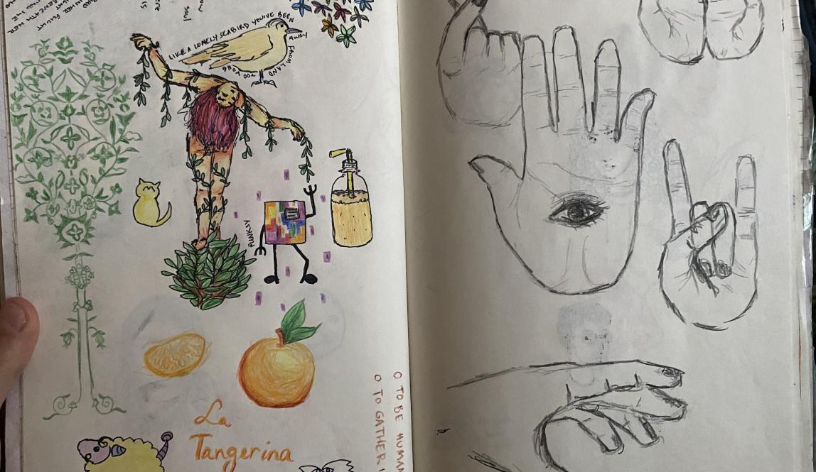 A two-page journal spread with pen and colored pencil drawings. On the right are song lyrics about birds, drawings of floral patterns, a tangerine, a woman covered in vines, a pokémon, a juice, and a bird. On the right are drawings of realistic hands in black colored pencil.