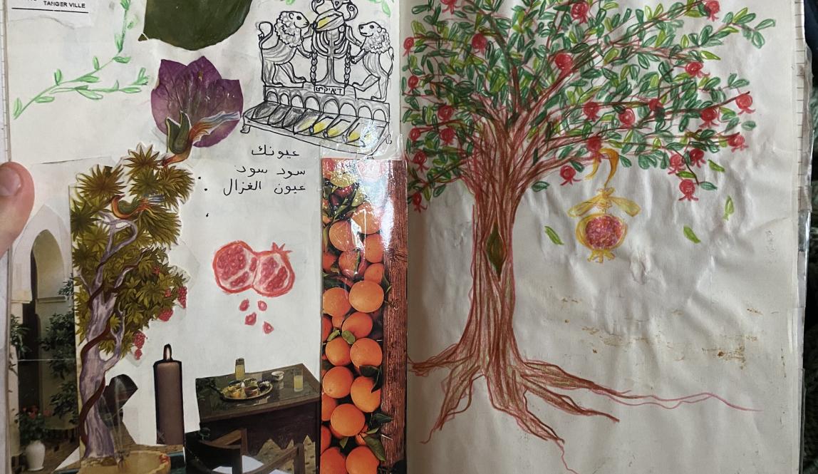 A two-page journal spread. On the left are magazine and postcard cutouts, including a table with breakfast, a candle, a tree and a pile of oranges. Also collaged are a train ticket to Asilah and a pressed bougainvillea flower. There are also colored pencil drawings of a pomegranate and an oil lamp chanukiah. On the right is a drawing of a pomegranate tree with a pomegranate-shaped earring hanging off one branch.