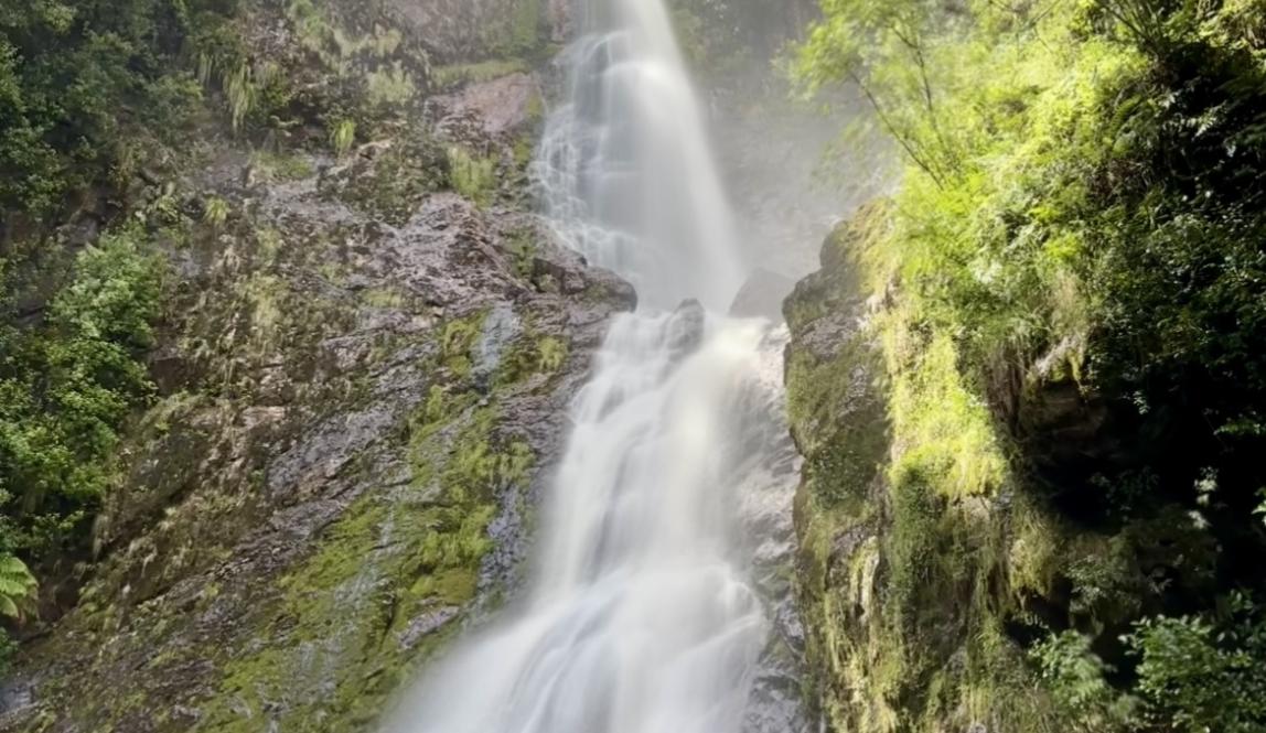 highest waterfall in tasmania 