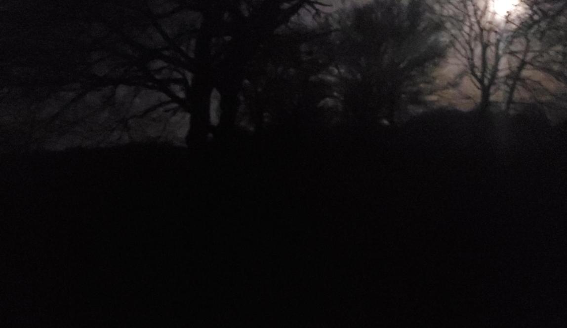 Only the light of the moon is visible through the tree branches. It is truly the witching hour: it is cold, the air is still as death, and no beasties stir yet.