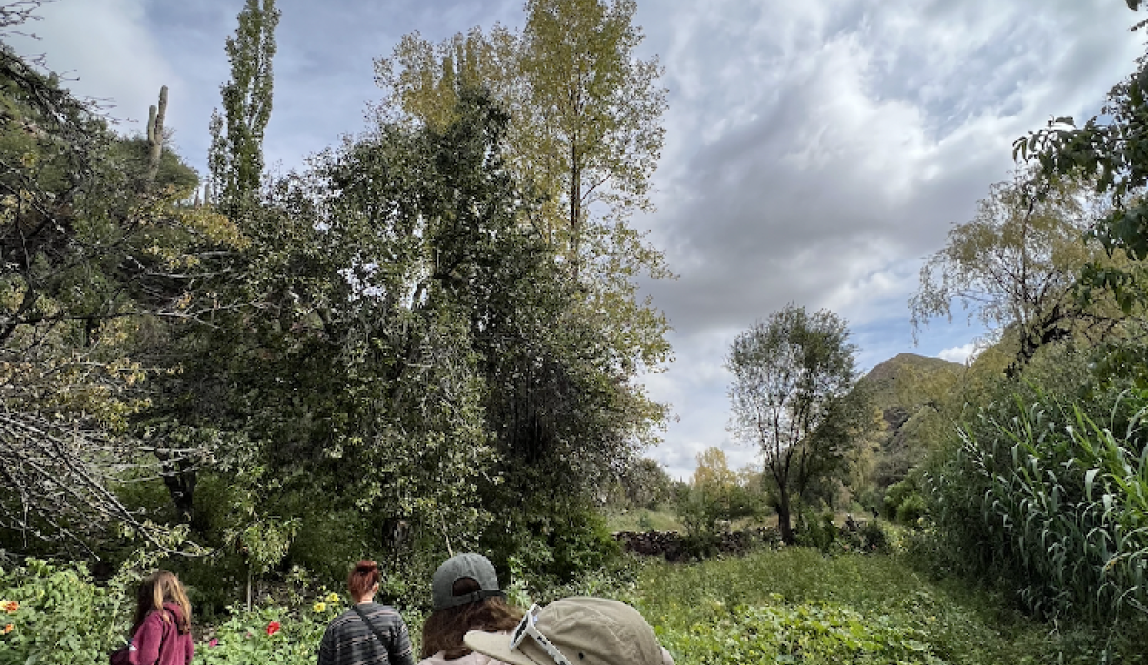 A group of IES students taking a tour of the Lamas' family garden