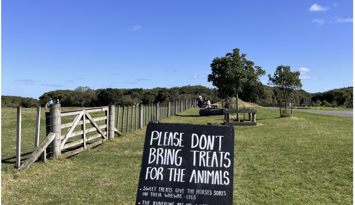 A black sign that says, "Please don't bring treats for the animals," and "sweet treats give the horses sores on their waewae - legs," as well as, "the kunekune are on a keto diet. their bodies get too big for their little feet" and "bread is bad for our sheep and goats." At the bottom of the sign, Kia pai to rā, is written. Behind the sign, there a few trees and a fence. 
