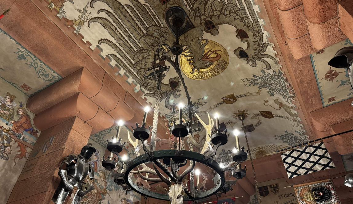 Old Style Ceiling and Chandelier (this is actually France haha)