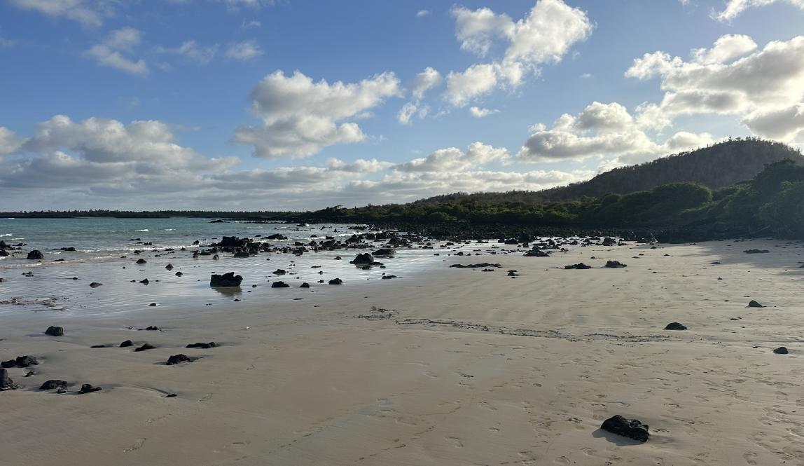 El Garrapetero beach