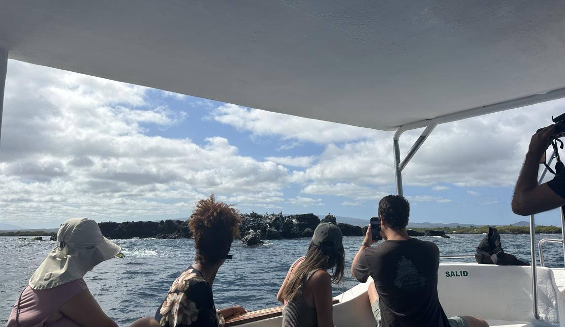 boat ride to snorkeling at Tintoreras