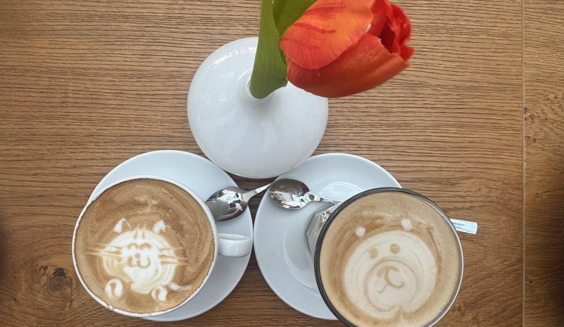 Two cups of coffee and a fake flower