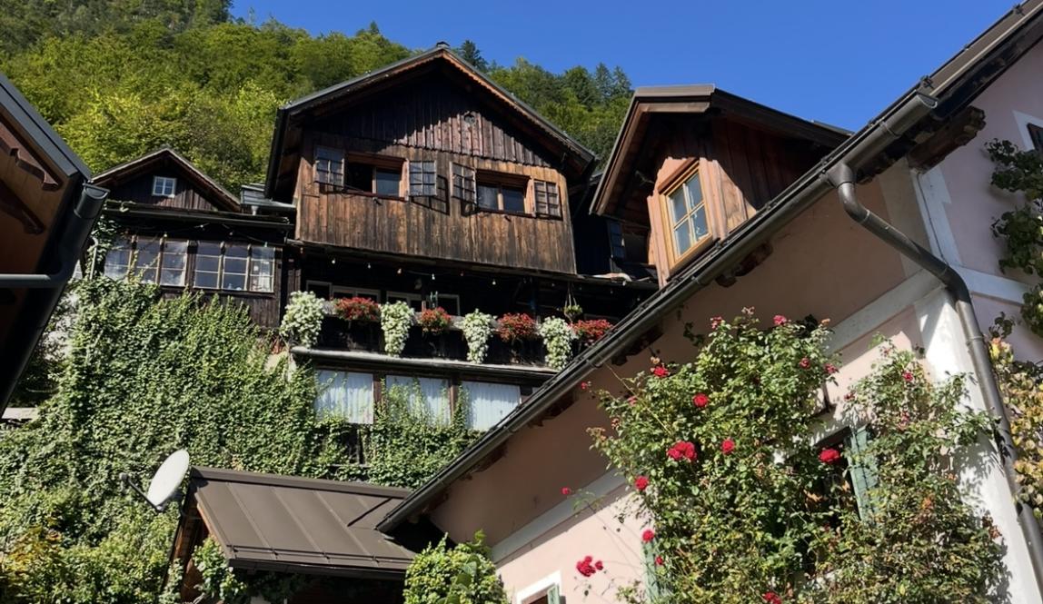 A bright blue sky shines down on dark wood cabins and one pastel-pink house, staggered in height on the mountainside. Bushes and vines climb the sides of each structure, and pink flowers peek out from the foliage to adorn the front of several houses.