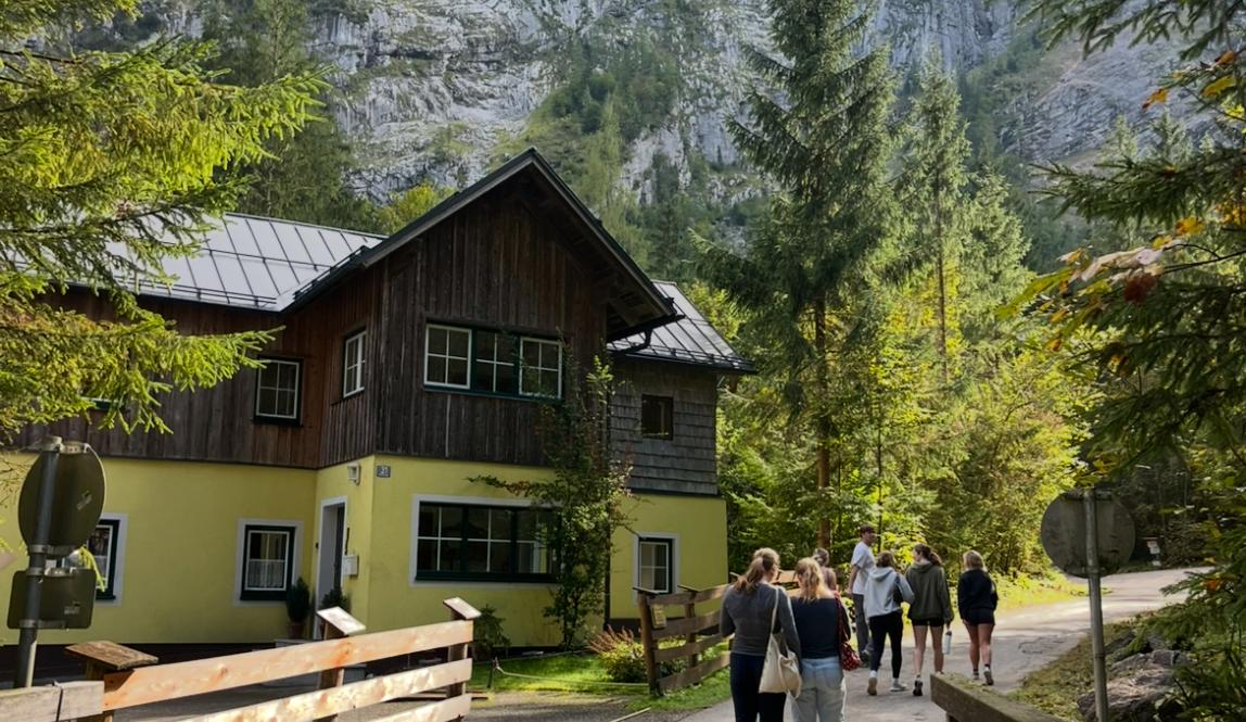 A group of friends walk along a wooded road next to a duckling-yellow house, their backs to the camera. The sun shines through the green leaves, some already yellow with the changing of the seasons.