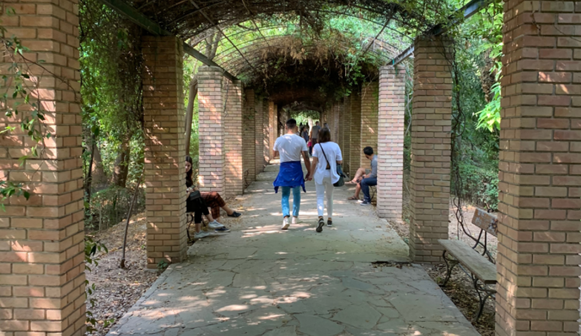 Brick path under vine-covered arches, people walking and sitting. This alt text was added with Al; accuracy may vary.