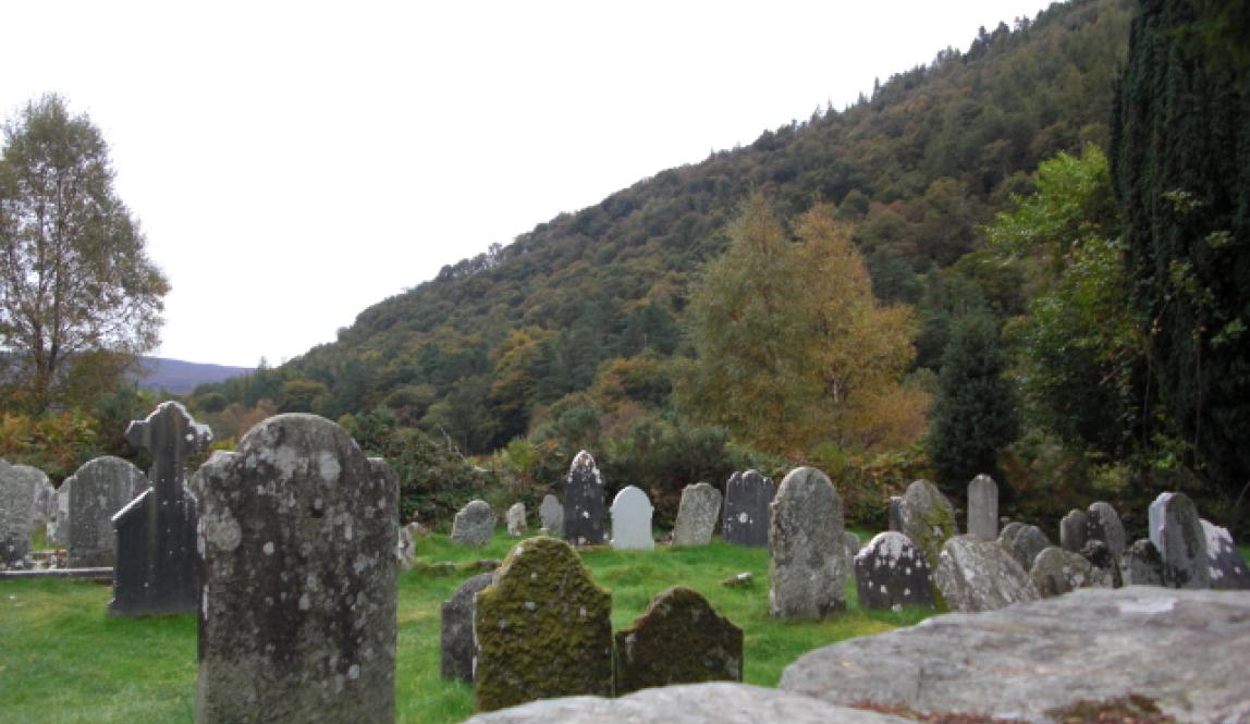 Gravestones and trees in front of mountains