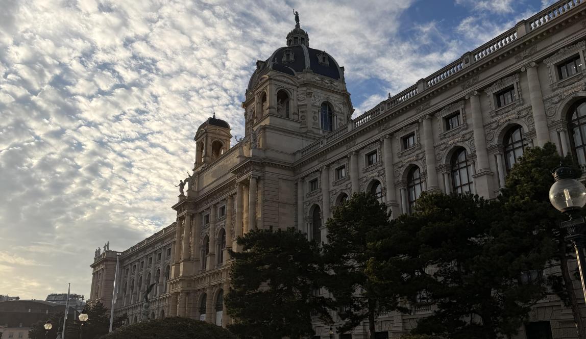 Burggarten and the Hofburg on a December Afternoon