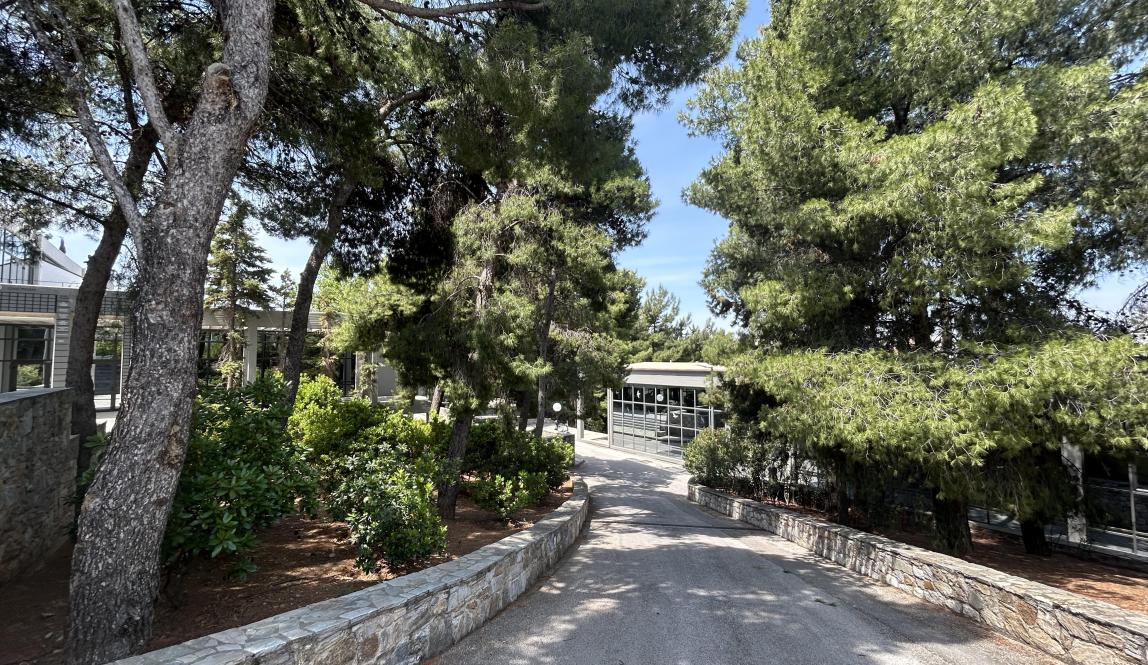 Tree-lined path with stone walls under a clear sky. This alt text was added with Al; accuracy may vary.