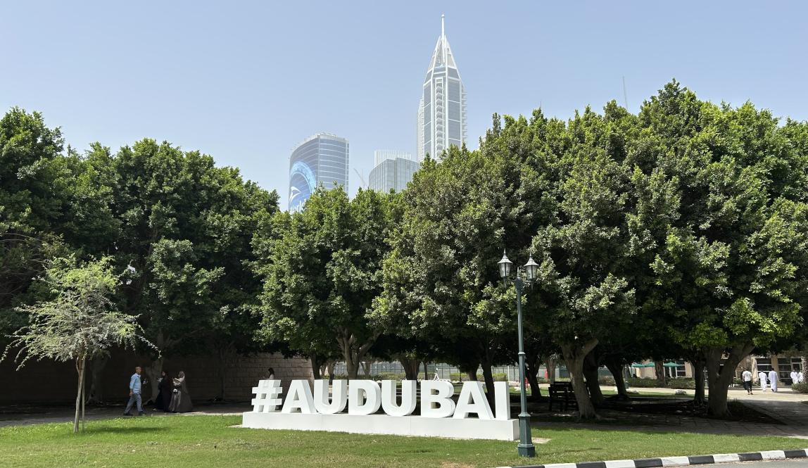 American University of Dubai