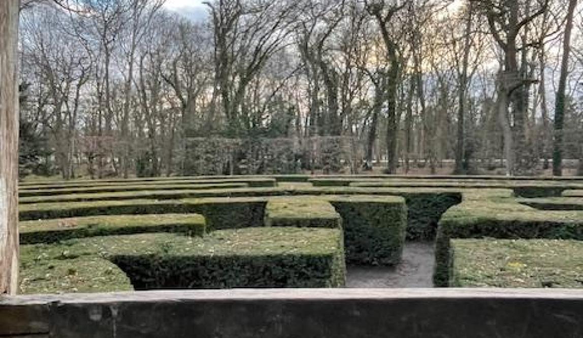 Labyrinth at the Château de Chenonceau 