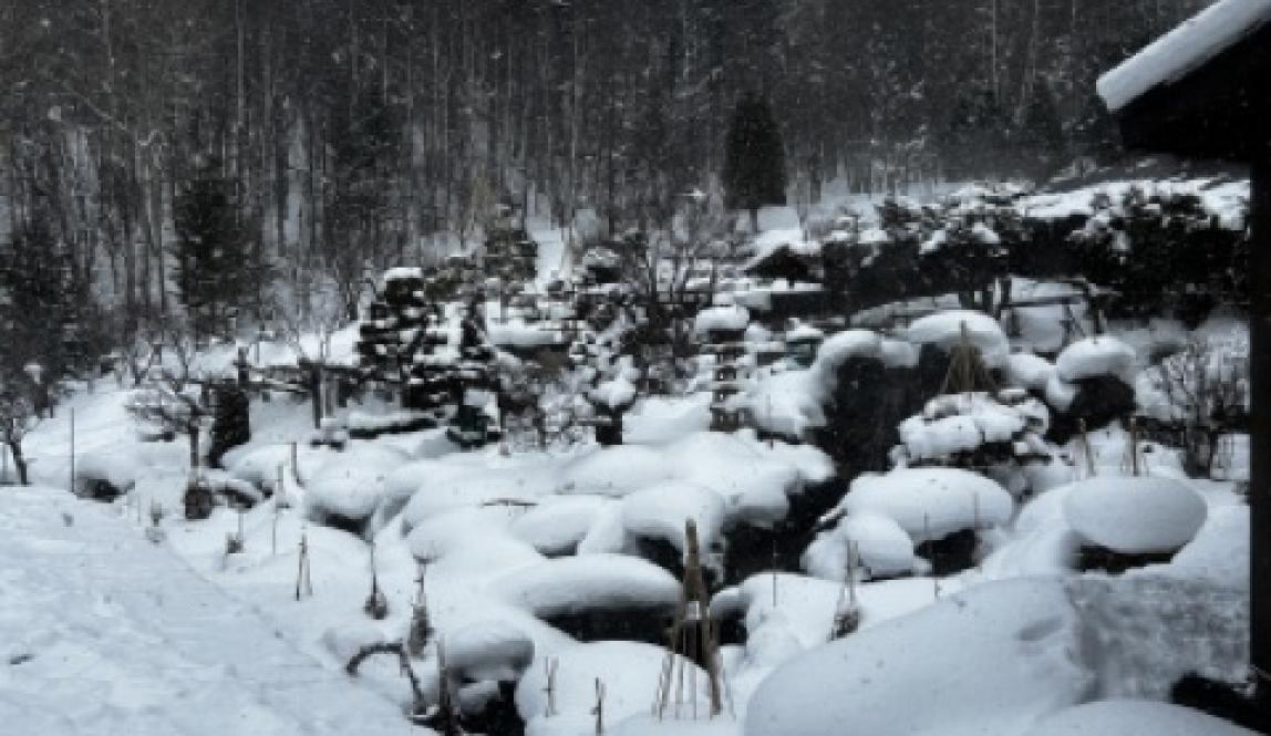 Photo of the snowy gardens at Hoheikyo Onsen