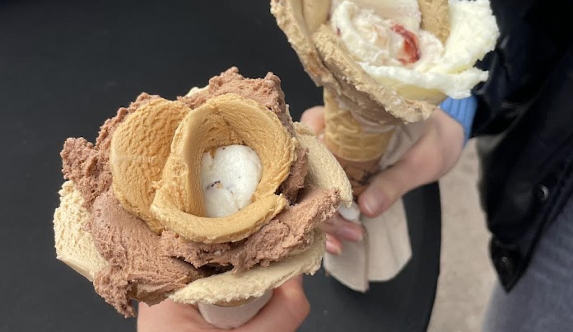 Two hands hold out icecream cones with the icecream shaped like flowers