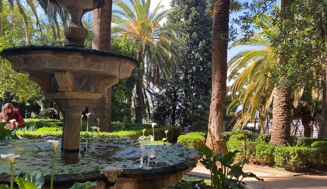 A garden in the Carmen de los Martires
