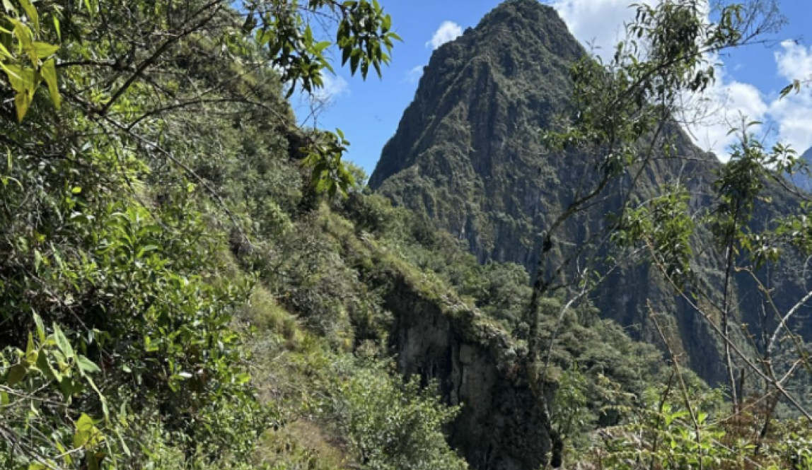 Scenes from the hike from Machu Picchu