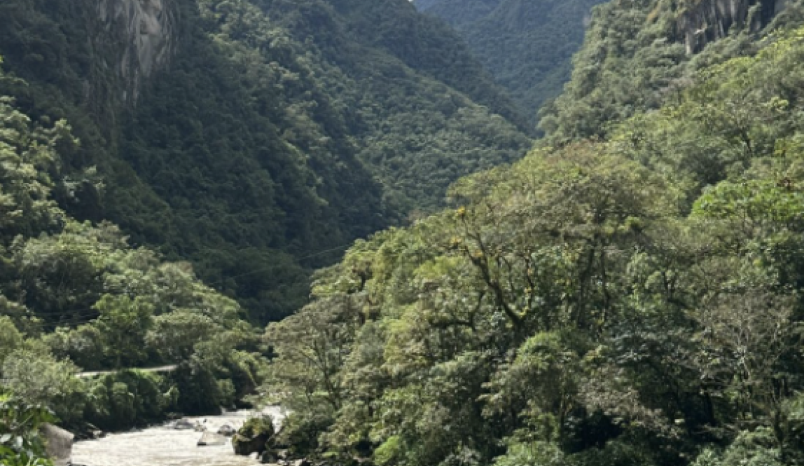 Scenes from the hike from Machu Picchu