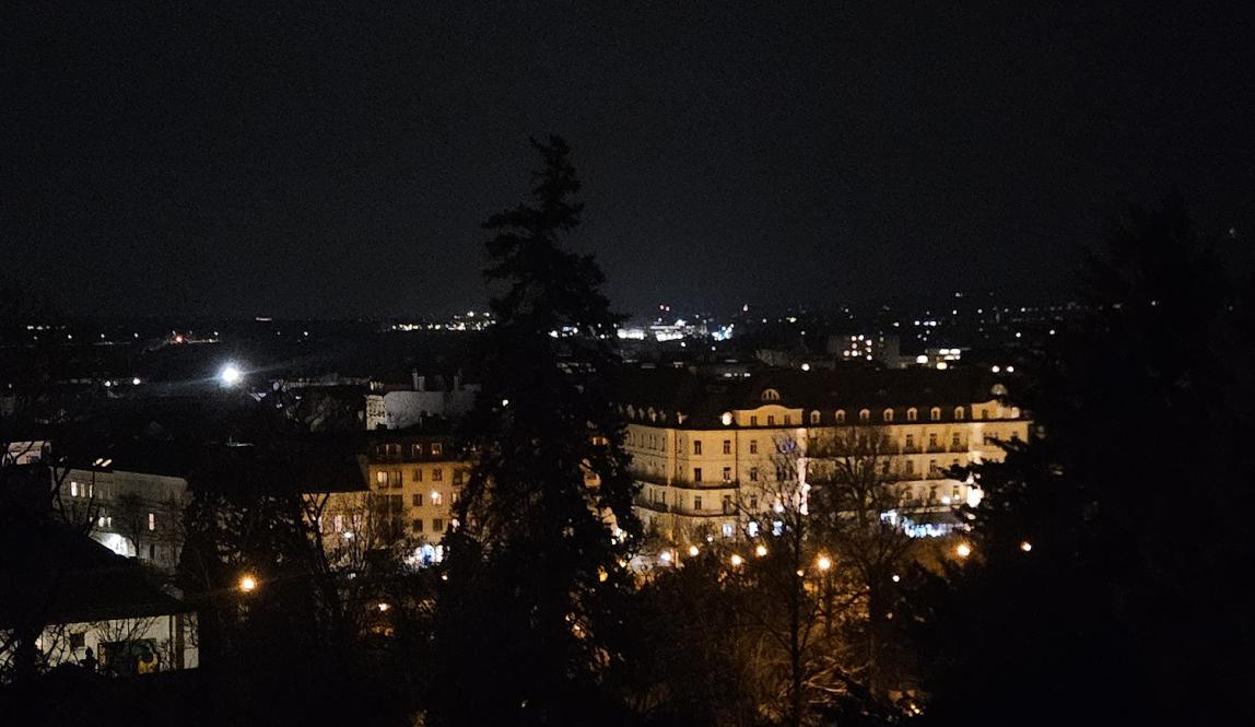 A view over Baden at night, with beautiful city lights being partially covered by the overhead trees.