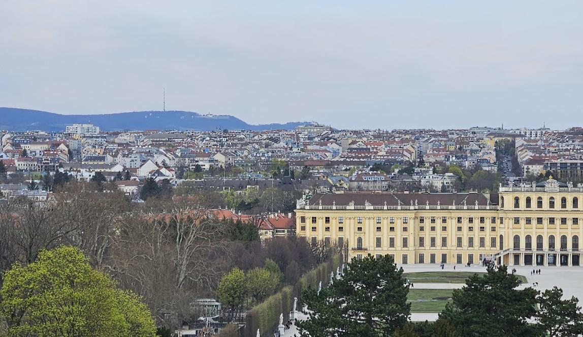 A quiet view above Schonbrünn Gardens.