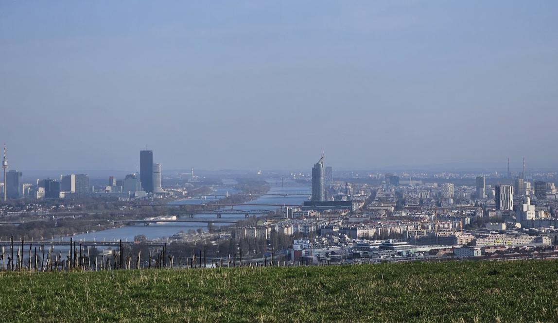A view from Kahlenberg over Vienna, showing the old and new Danube.
