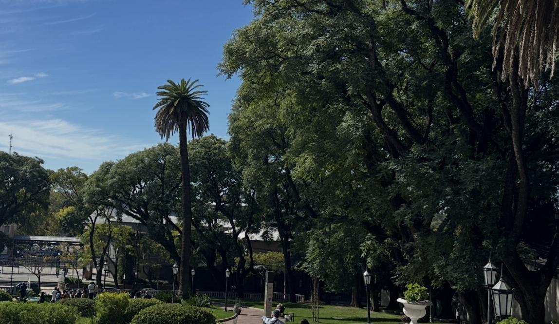 Park at Plaza Mitre