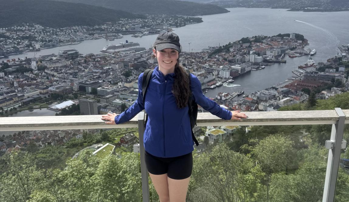 The view from the top of Mount Fløyen