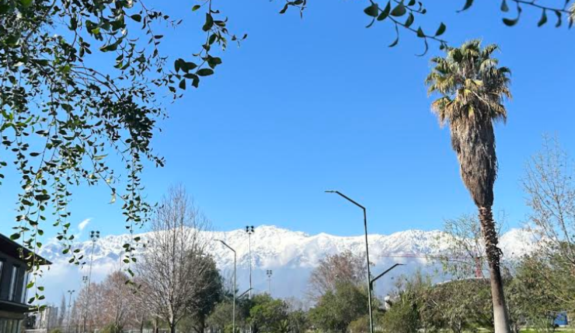 A view of the Andes mountains in the distance.