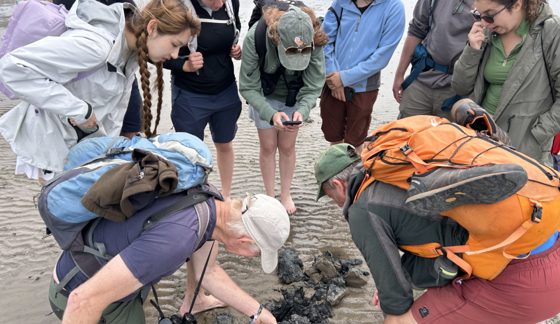 Students gather around their professor who is digging into the wet sand at low tide in the Wadden Sea in North Germany.