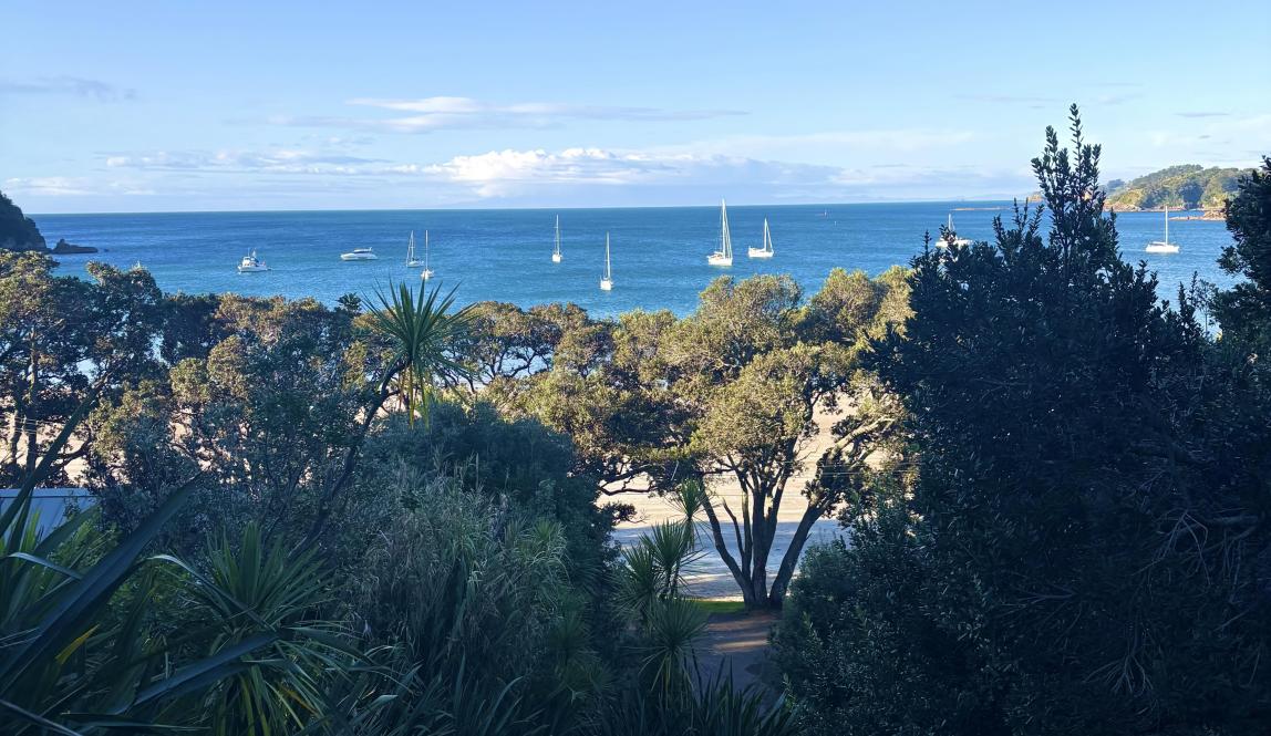 A midday view of Oneroa Beach through trees and with boats in the bay.