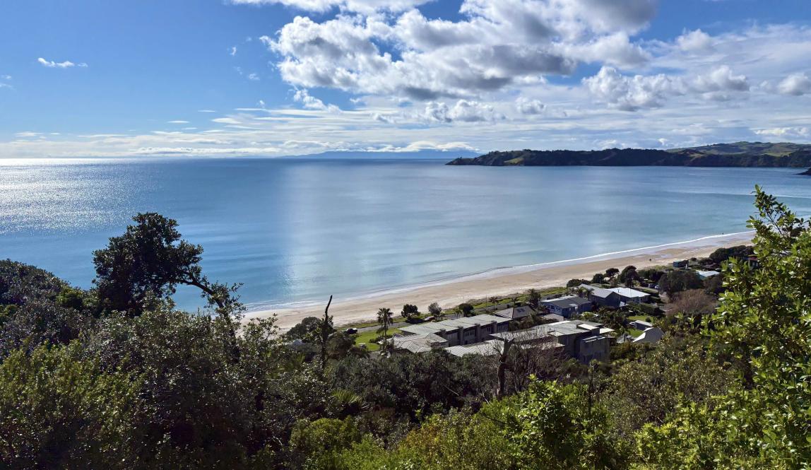 An overhead shot of Onetangi Beach with the surrounding houses and forest.