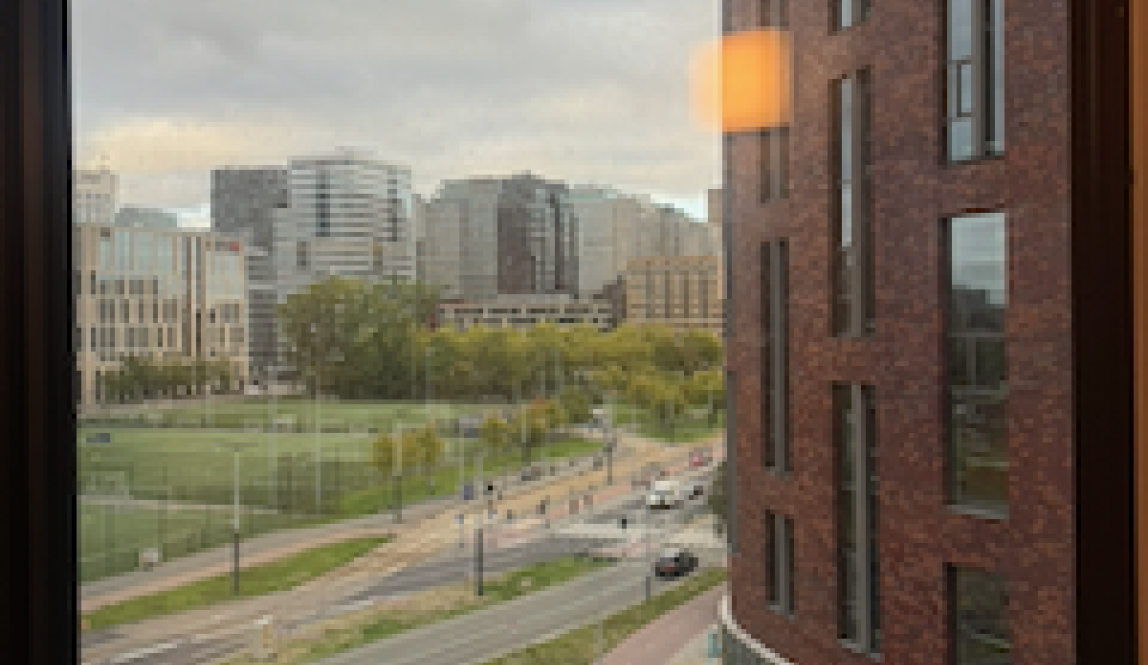 A view of Vrije University and the neighboring road