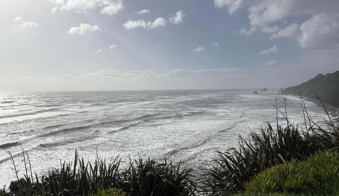 A landscape view of the crashing waves of the West Coast.