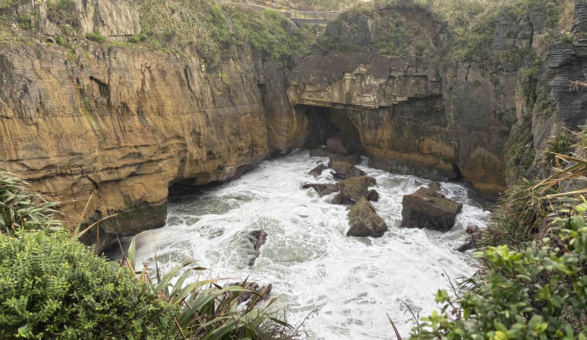 A large and active blowhole