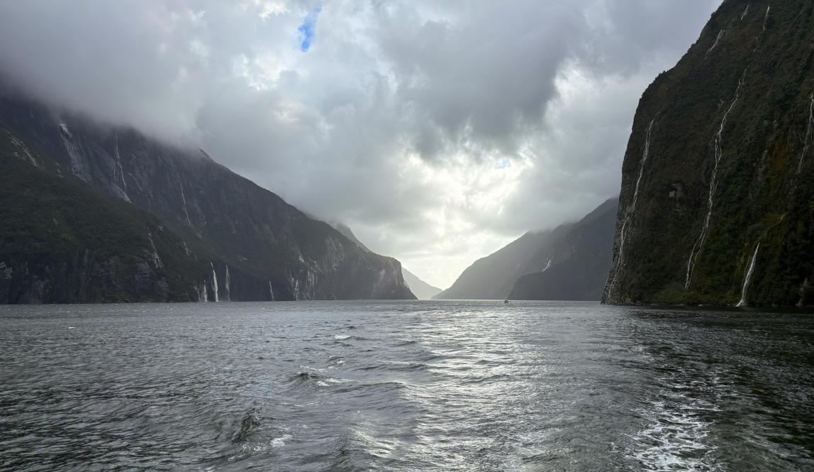 A landscape view of Milford Sound.