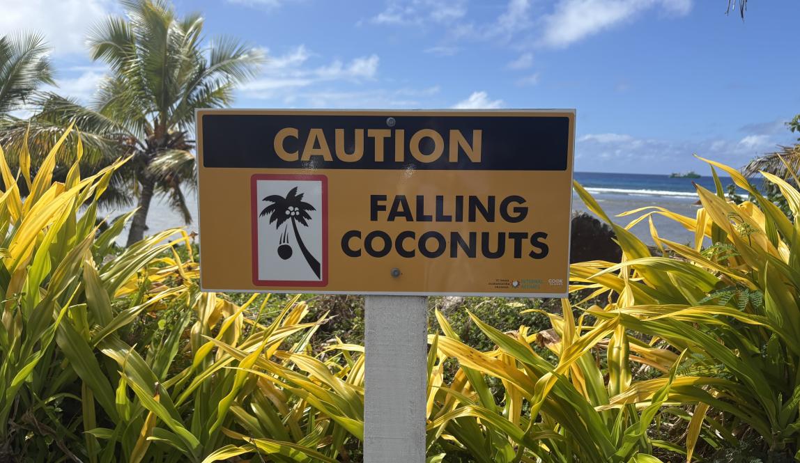 A sign that says falling coconuts