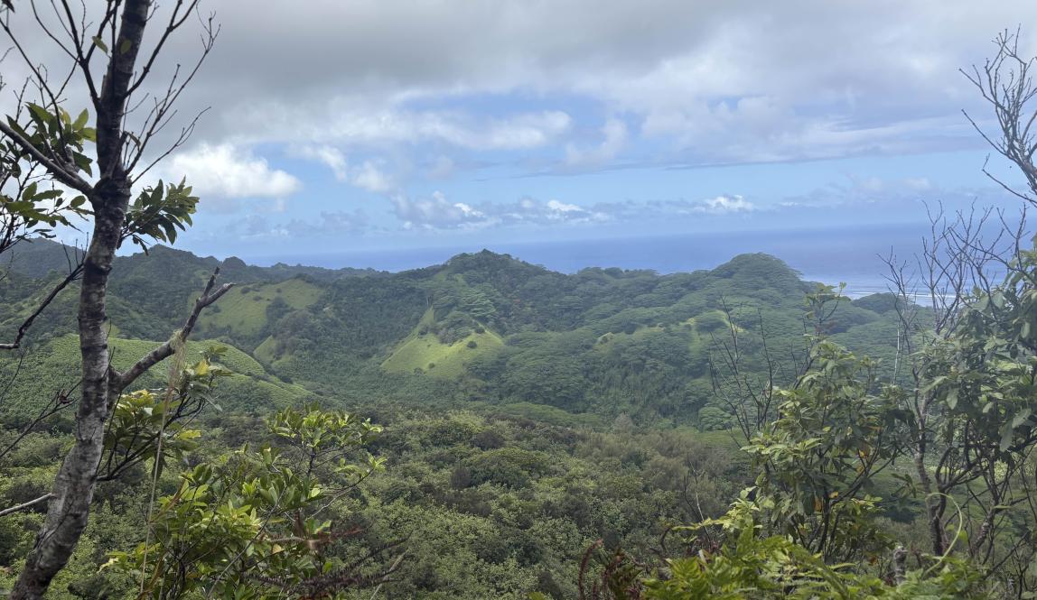 A high-up landscape view of Rarotonga mountains.