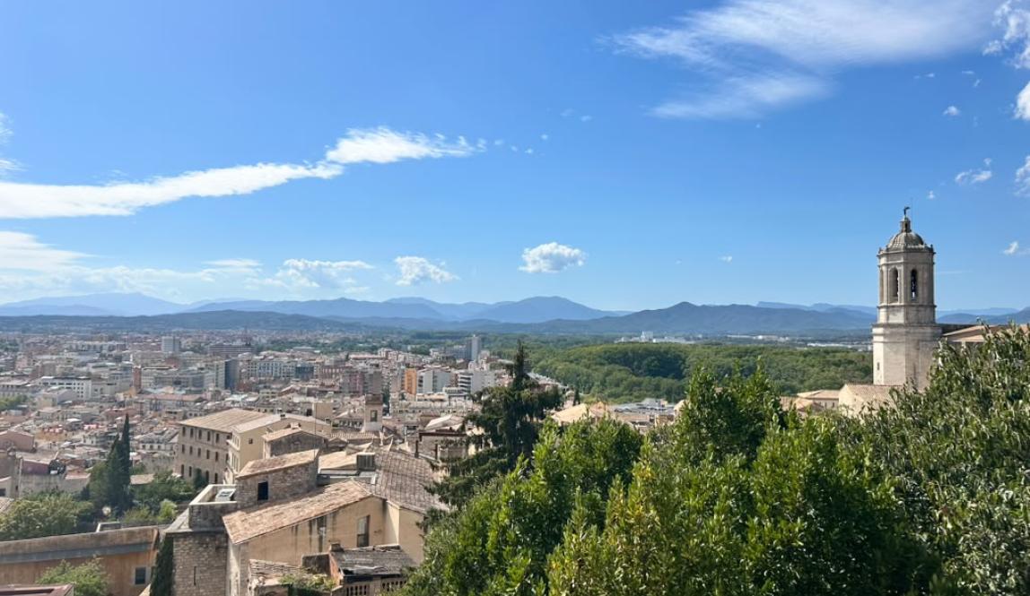 View