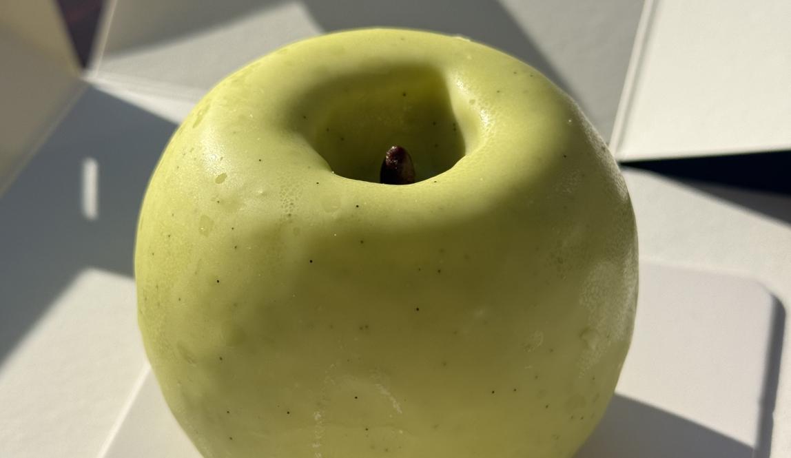 Realistic looking apple pastry