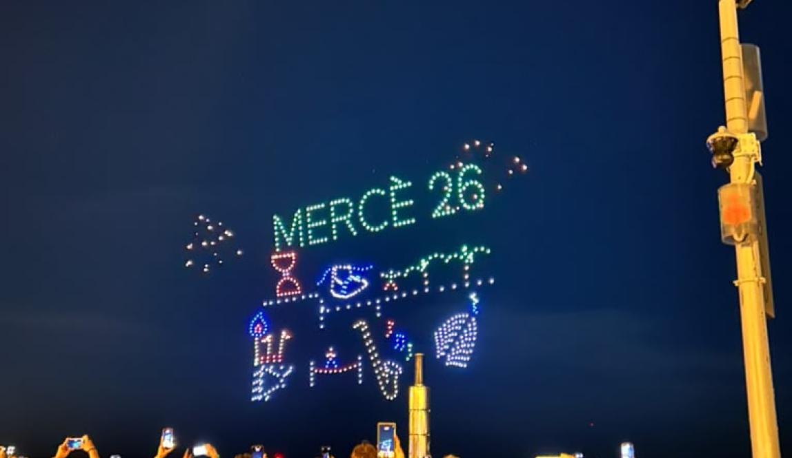 Drone Show