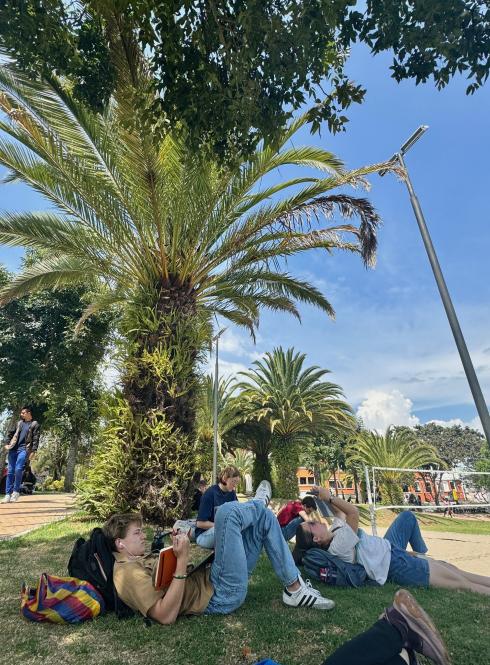 students studying beneath a palm tree on USFQ's Cumbaya campus