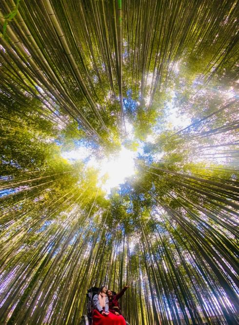 Hailey Kim - Nagoya - 2023 Fall